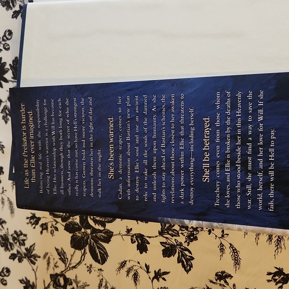 Wings of the Wicked book n9 - Picture 7 of 8